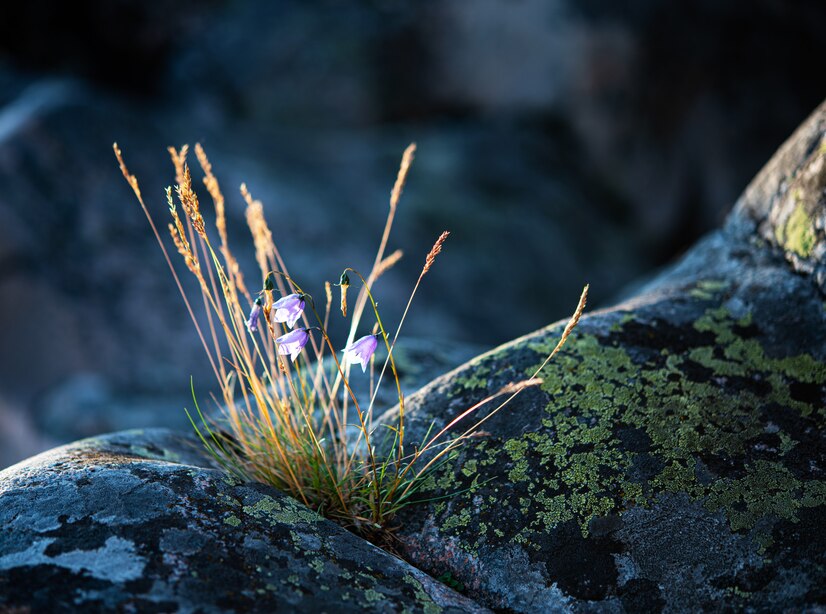 Secret Natural Wonders: Hidden Gems of the Earth